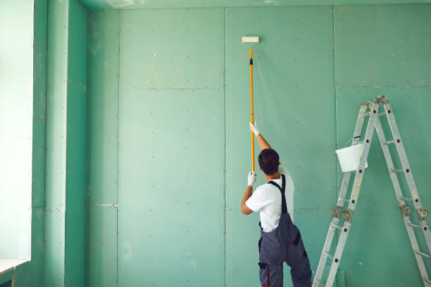 Best Residential Mold Inspection & Testing  in Moundsville, WV
