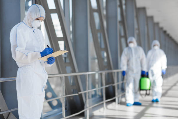Best Dehumidification Services  in Moundsville, WV