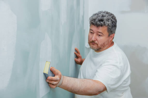 Best Mold-Related Health Consultation  in Moundsville, WV